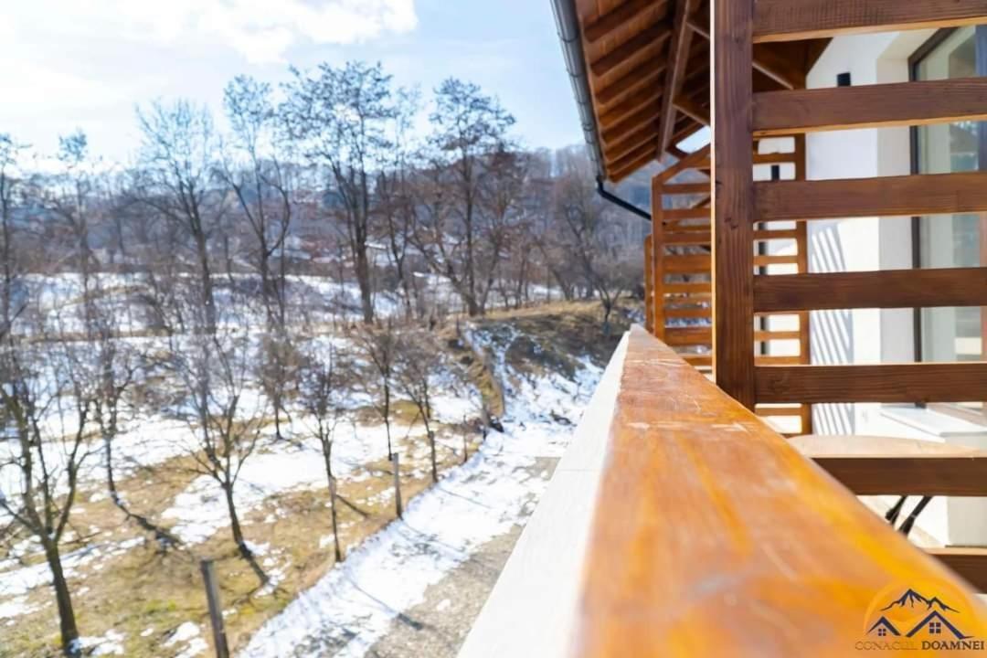 Corbi Conacul Doamnei 빌라 외부 사진